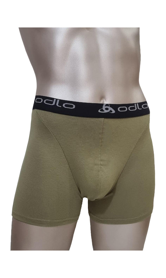 Boxer_