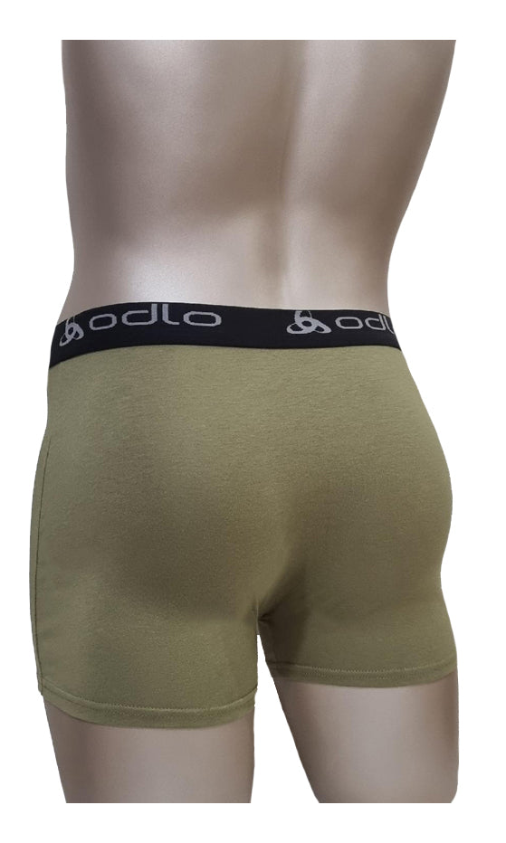 Boxer_