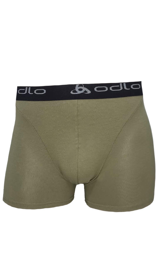 Boxer_