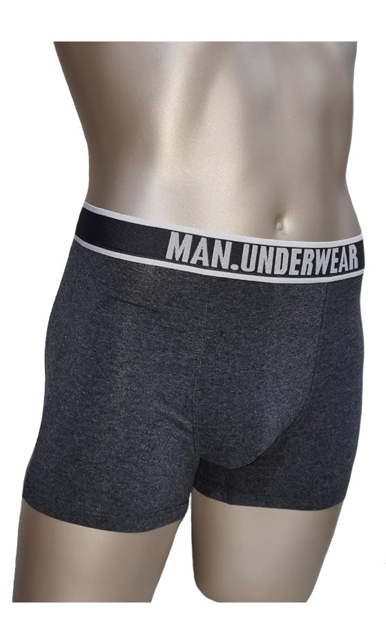 Boxer